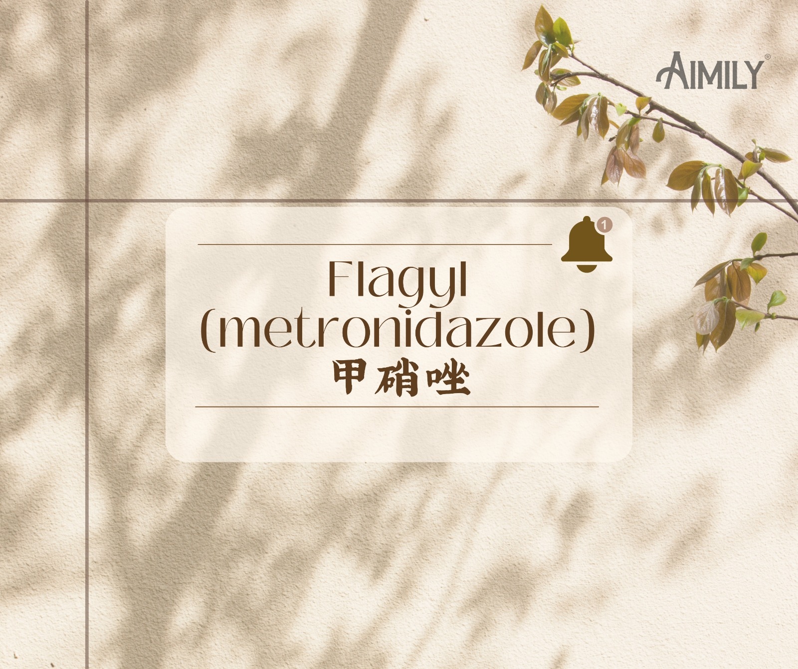 Flagyl (Metronidazole)